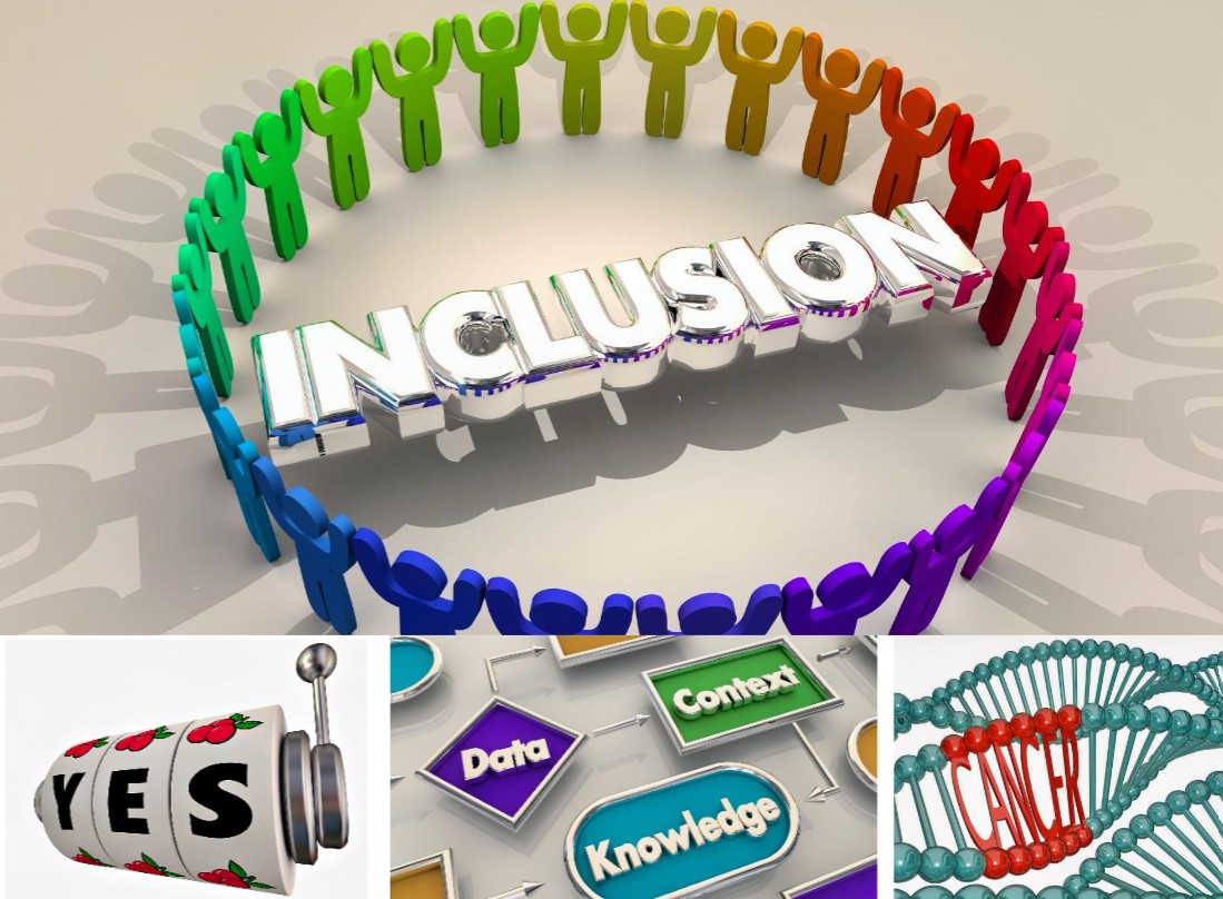 inclusion
